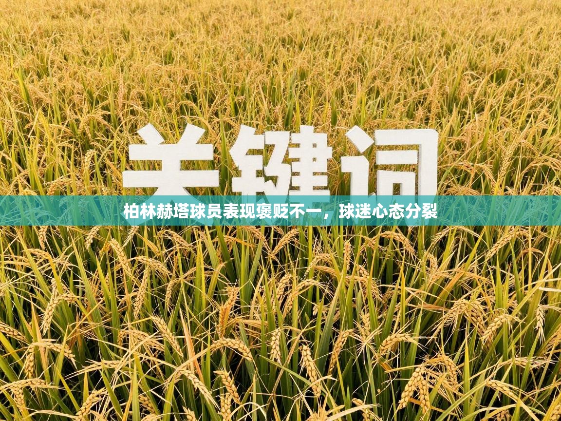 柏林赫塔球员表现褒贬不一，球迷心态分裂  第2张