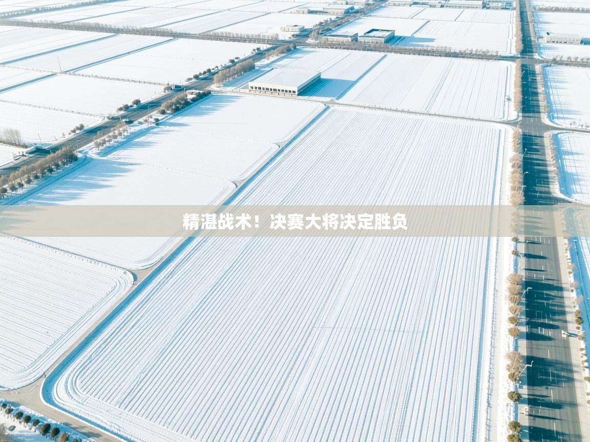 精湛战术！决赛大将决定胜负  第2张