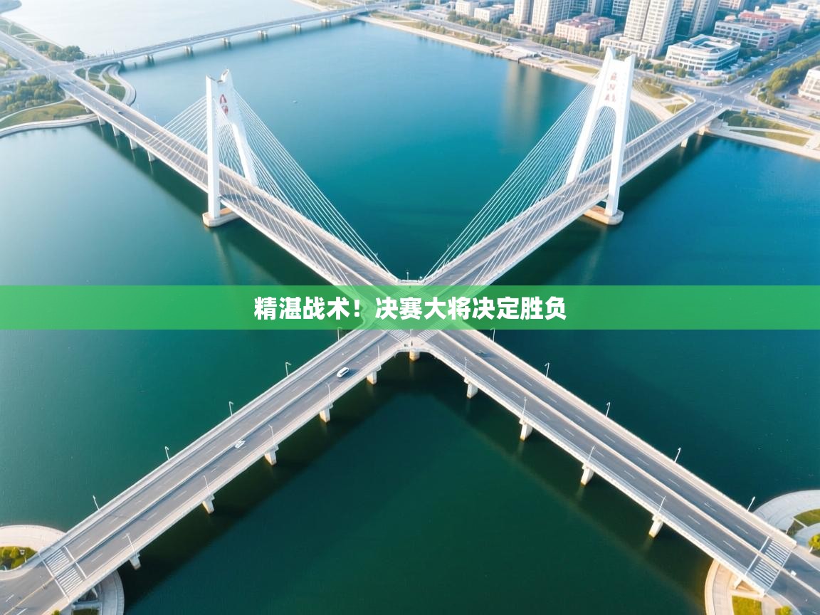 精湛战术！决赛大将决定胜负  第1张