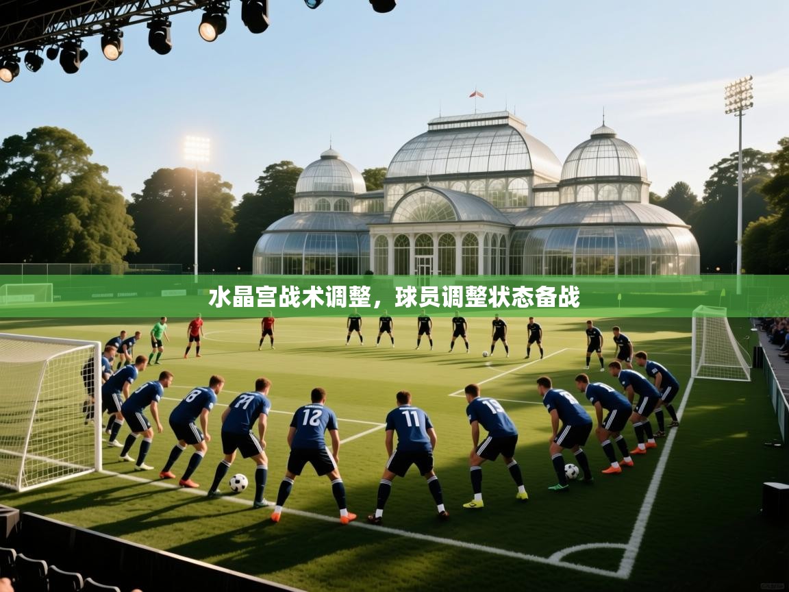 水晶宫战术调整，球员调整状态备战  第2张