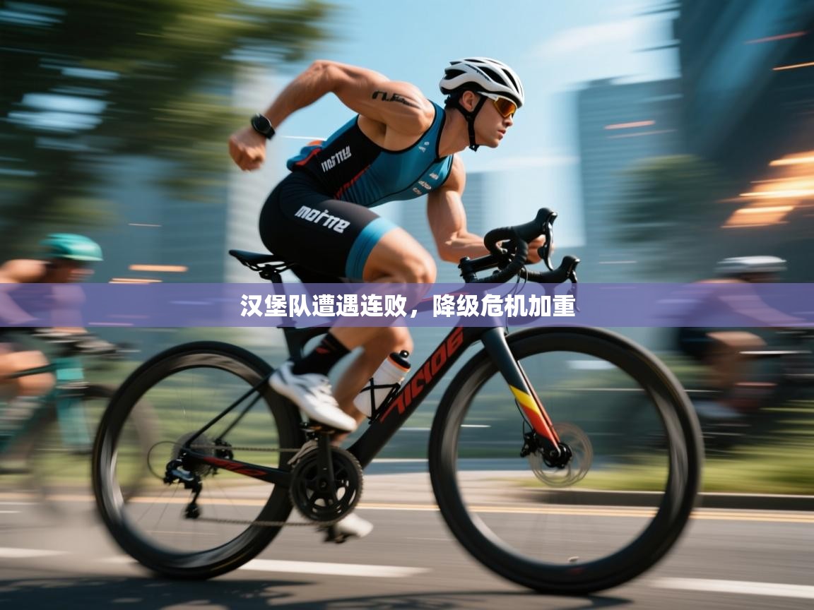 汉堡队遭遇连败，降级危机加重  第2张