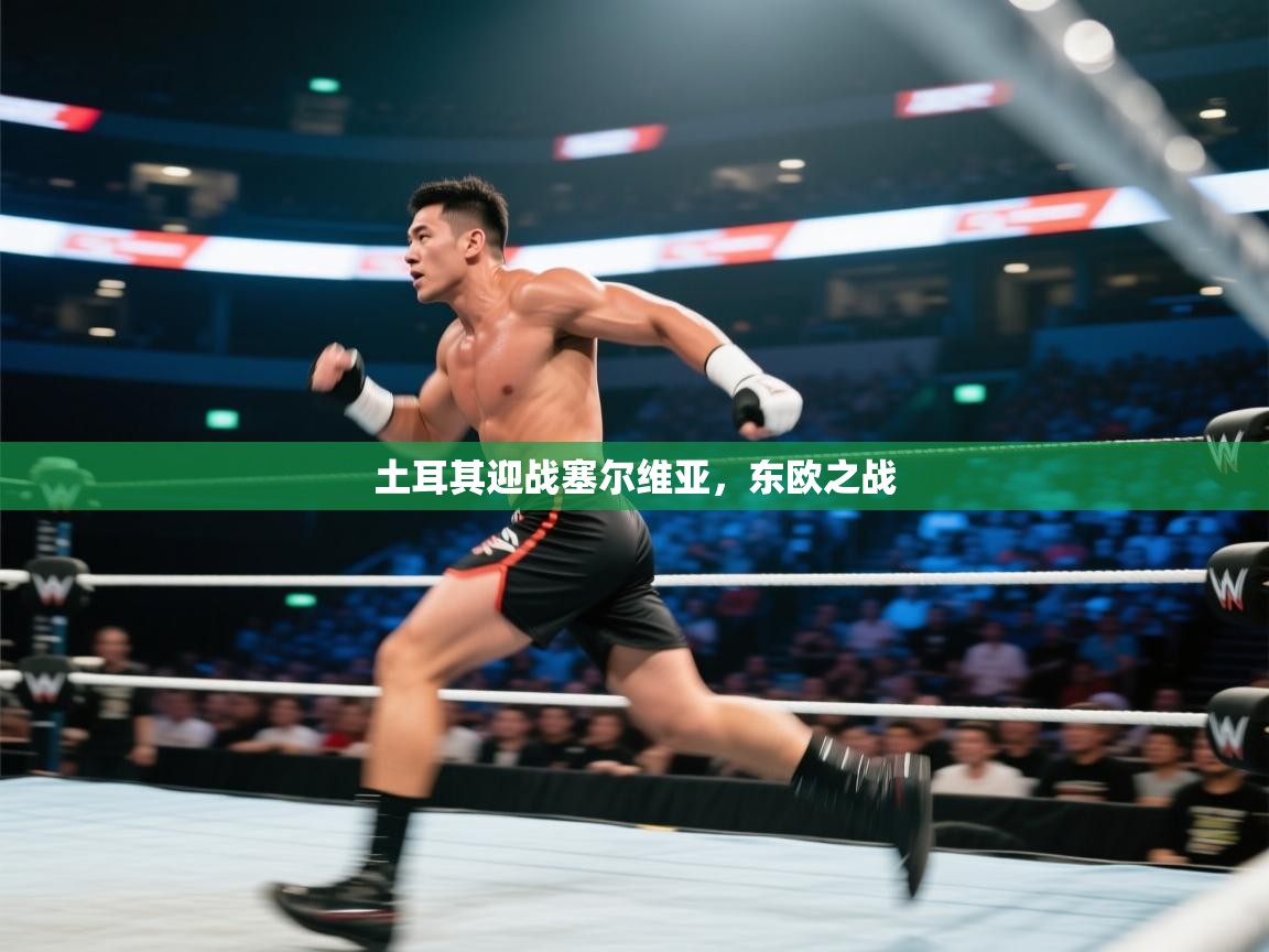 土耳其迎战塞尔维亚,东欧之战 第2张