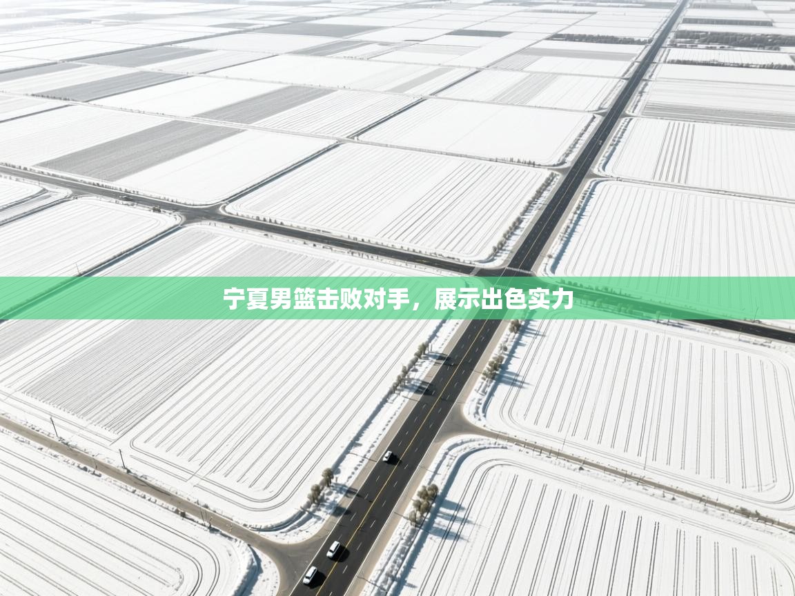 宁夏男篮击败对手，展示出色实力  第2张